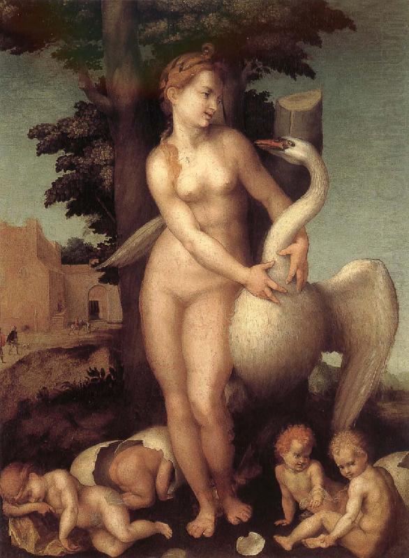 Andrea del Sarto Swan oil painting picture